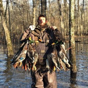 Meet your Posher, Bryce